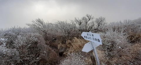 250-231(39-36)RECAMP志高湖 由布岳211_080119