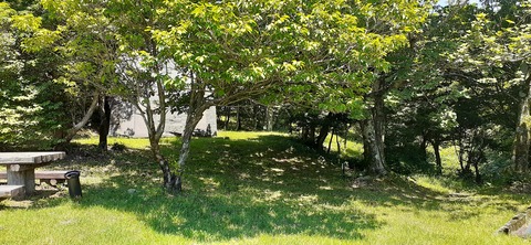 164-149(6-6)長野山緑地公園702_112138