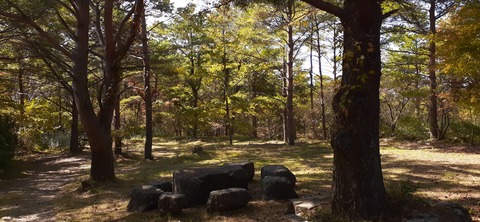 179-163(21-20)ゴンドーシャロレー7泊目1029_125907