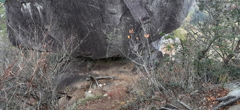 236-219(25-24)大崩山1104_144523