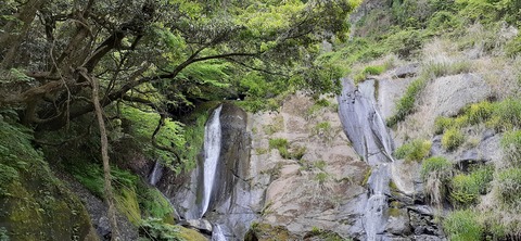 158-143(57-57)陽目の里キャンピングパーク507_141802