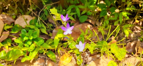 160-145(2-2)グランピング川崎3回目528_120305