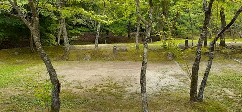 216-200(5-5)山鳥の森623_132350