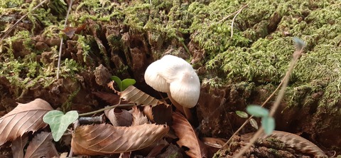 234-217(23-22)広川原キャンプ場1028_131213