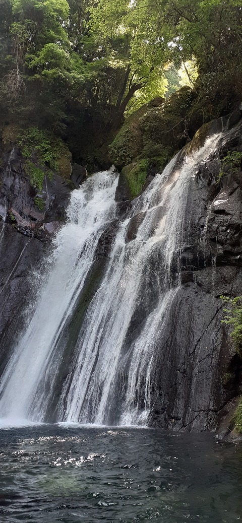 158-143(57-57)陽目の里キャンピングパーク507_142316