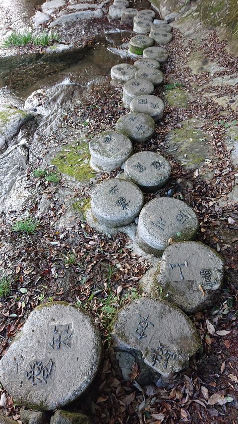 122-107(21-21)阿蘇レインボーバレー815