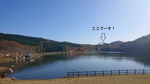 23-19志高湖キャンプ場773SR