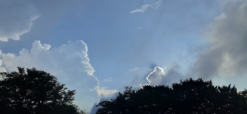 226-209(15-14)脊振山キャンプ場826_172953