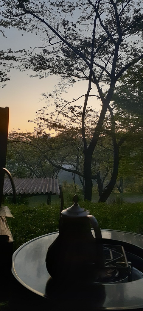 255-236(44-41)味見桜公園413_183206