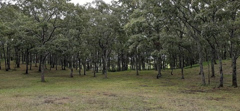 172-157(14-14)くじゅう自然動物園903_144807