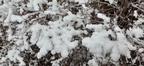 250-231(39-36)RECAMP志高湖 由布岳211_071607