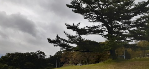 177-162(19-19)HGP南阿蘇OSCAMP1009_123546