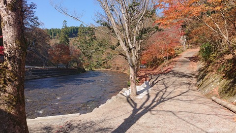 71-58(26-22)遊水峡キャンプ場441S
