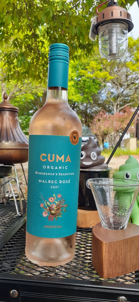 155-140(54-54)うめキャンプ村504_150324