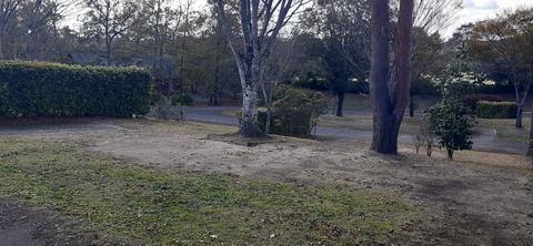 237-220(26-25)るるパーク1111_121233