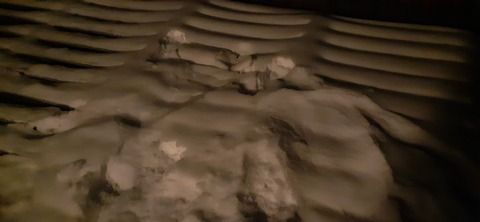 187-171(29-28)坊がツル1229_192017