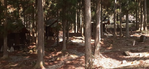 199-183(41-40)山中キャンプ場311_112424