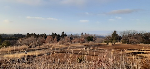 194-178(36-35)ゴンドーシャロレー⑨212_081241