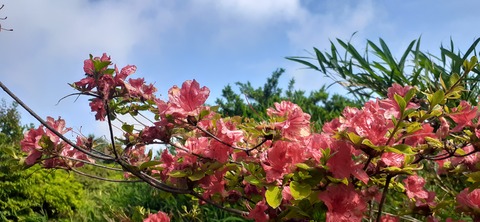 268-248(5-4)万年山616_090354