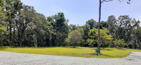 266-247(3-3)天空の杜601_115101