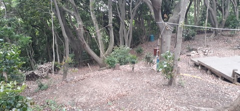 213-197(2-2)レムブランベースC527_132446