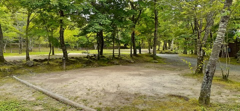 216-200(5-5)山鳥の森623_132340