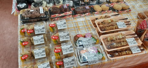 228-211(17-16)泉水キャンプ村909_114229