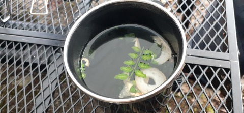 182-166(24-23)牧の原キャンプ場2回目1113_084302