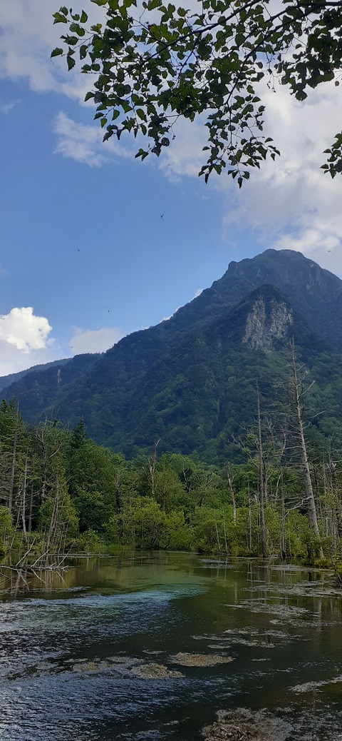 271-251(8-7) 上高地穂高岳813_140436