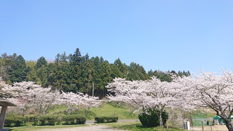 42-34家族旅行村安心院47