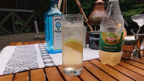 118-103(17-17)グランピングKAWASAKI２90S