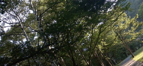 273-253(10-9) 上高地穂高岳817_064845