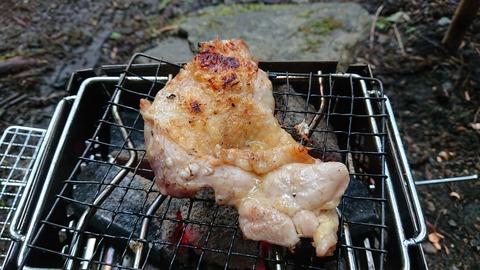 104-89(3-3)八木山渓流公園464