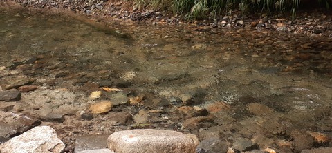 273-253(10-9) 上高地穂高岳816_145708