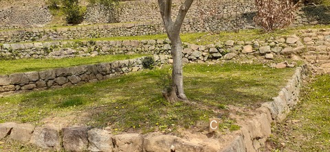 149-134(48-48)橘香園2_122116