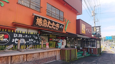 121-106(20-20)九重山麓風の丘588