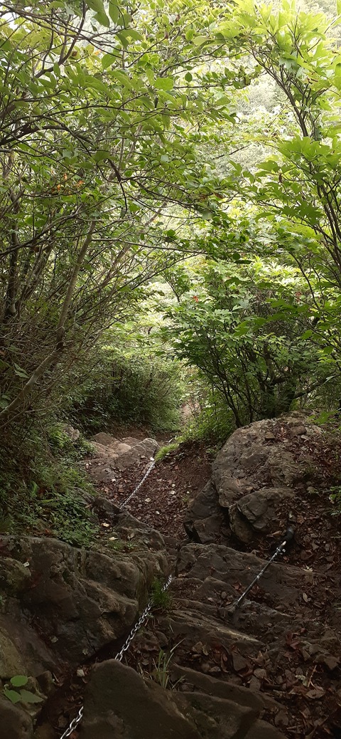 227-210(16-15)スノーピーク奥日田902_112524