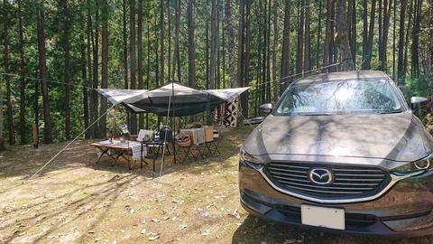 95-80(50-44)小鳥の森キャンプ場479SR