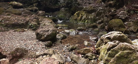 202-186(44-43)八木山渓流公園325_110251