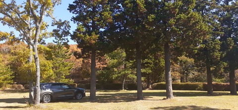 180-164(22-21)久住高原Ｈ天空の大地1103_121751