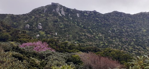 260-241(49-46)宮之浦岳淀川小屋501_154455