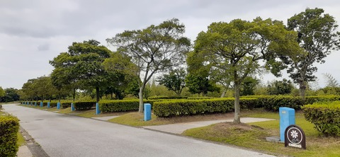 212-196(1-1)竜王山公園AC520_101845
