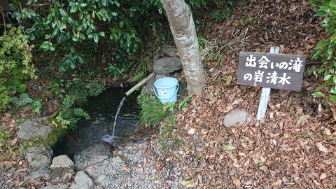 122-107(21-21)阿蘇レインボーバレー770