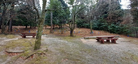 143-128(42-42)大野城いこいの森19_131626