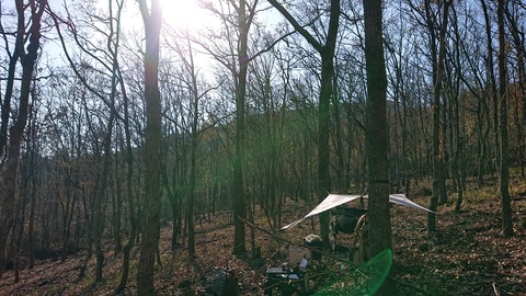 126-111(25-25)CAMP✕WOODS356