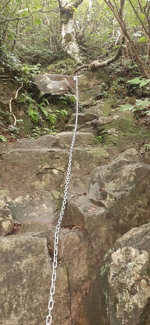 227-210(16-15)スノーピーク奥日田902_112517