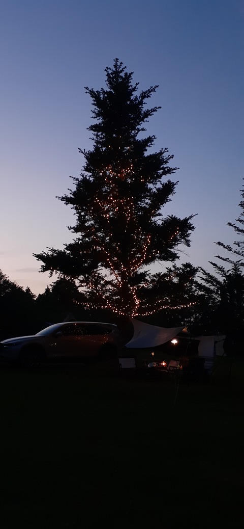 205-189(47-46)ラピュタファーム422_190818