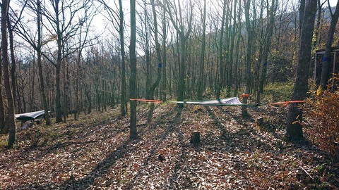 126-111(25-25)CAMP✕WOODS371