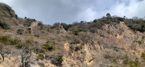 251-232(40-37)伽藍岳ゲリラキャン303_123353