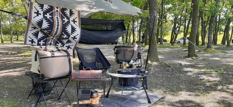 207-191(49-48)津志田河川公園乙女河原501_142001